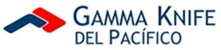 Logotipo de Gamma Knife - Cliente de AGM Consultoría